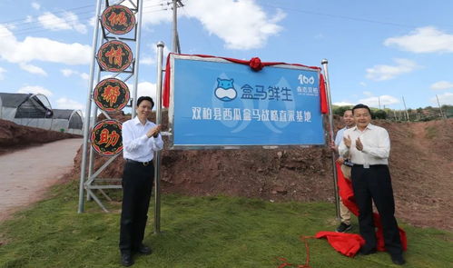 跨越山海的協(xié)作 嘉定區(qū)黨政代表團(tuán)赴雙柏縣與南華縣考察記